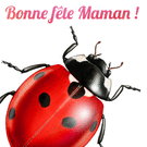 Coccinelle amicale pour célébrer maman